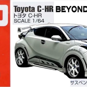 C-HR ZYX10