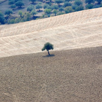 UN ALTRO POMERIGGIO DA SOLO di 