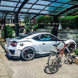 BRZ ZC6