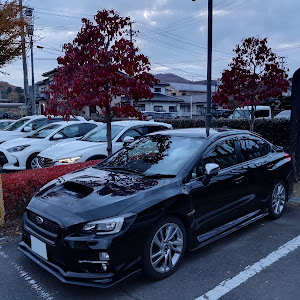 WRX S4 VAG
