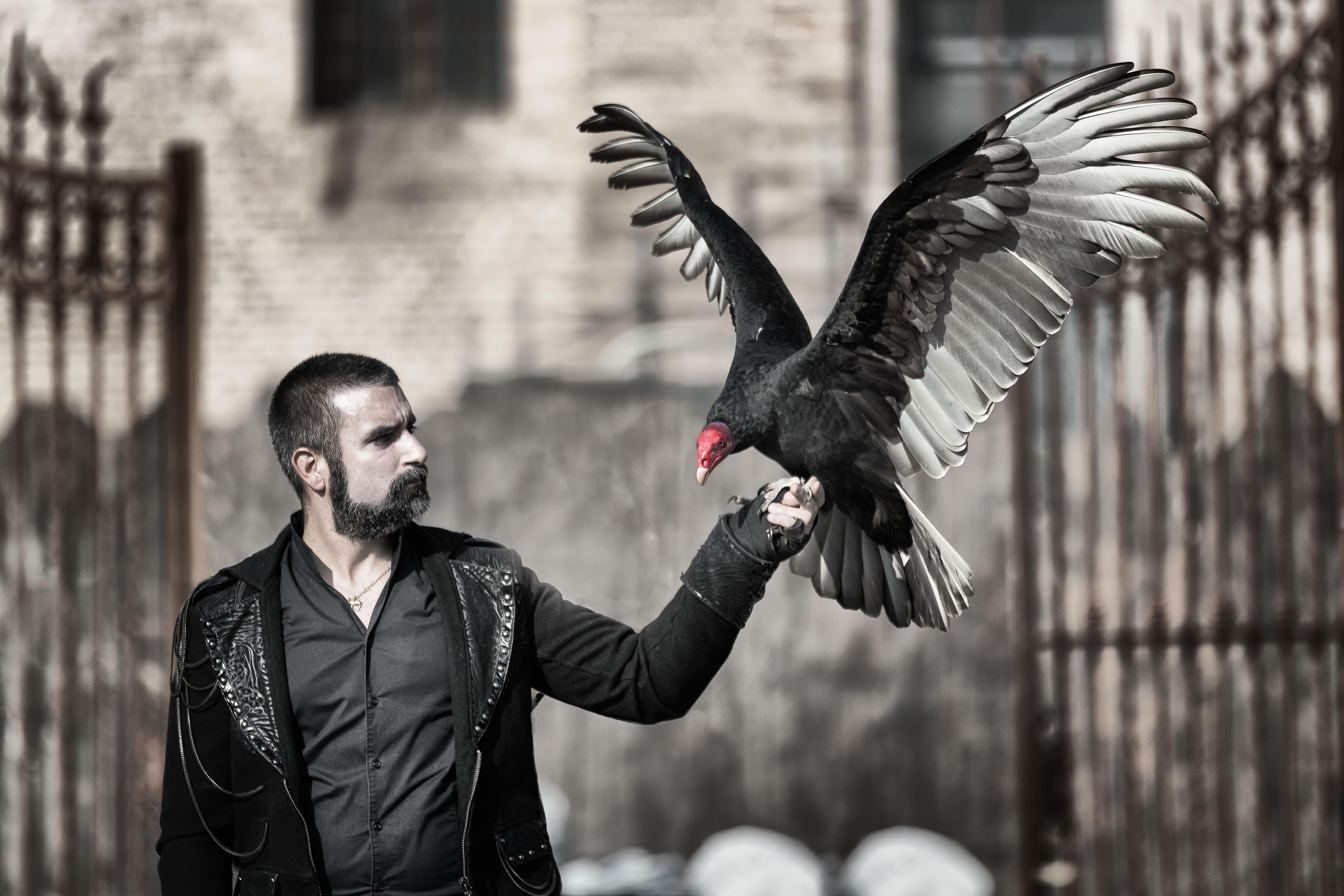 l'uccello del malaugurio di Rino Lio