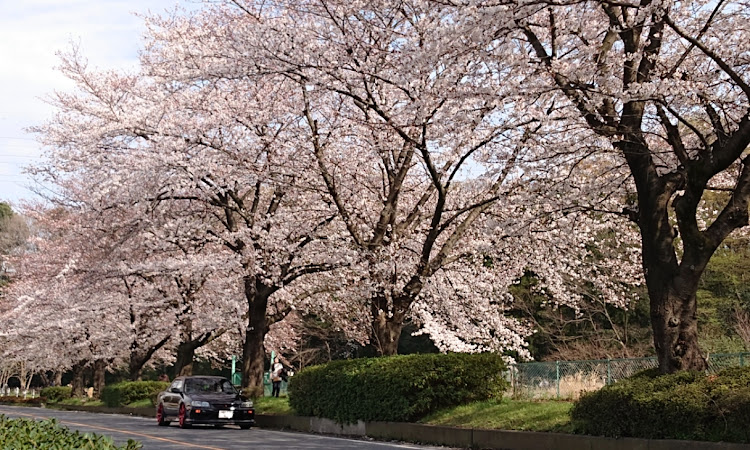 の投稿画像1枚目