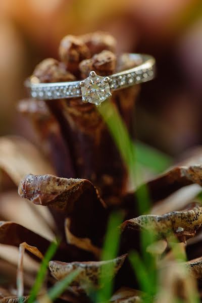 Fotógrafo de casamento Crihan Vlad (vladcrihan). Foto de 27 de janeiro 2019