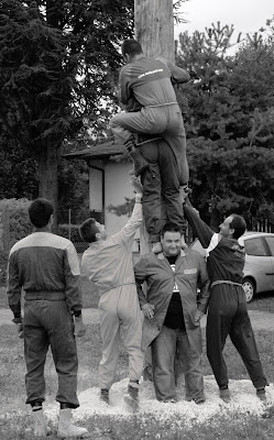 L'albero della cuccagna di gfg