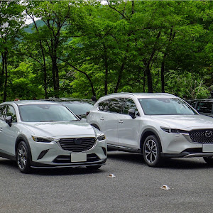 CX-3 DK5FW