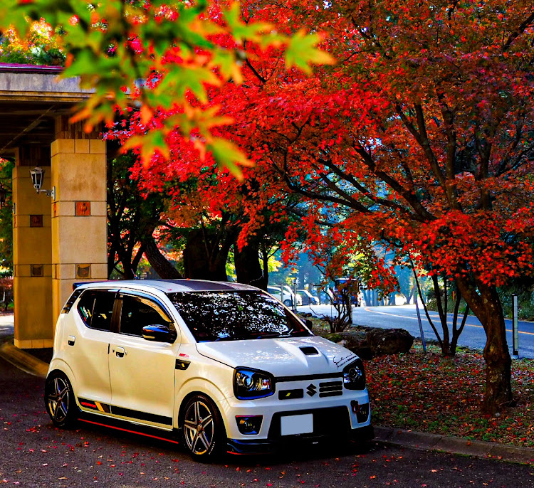 アルトワークスの写活の秋・紅葉・11月もよろしくお願いします・雲仙・紅葉と愛車に関するカスタム事例の投稿画像4枚目