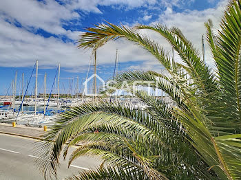 appartement à Saint-Cyprien (66)