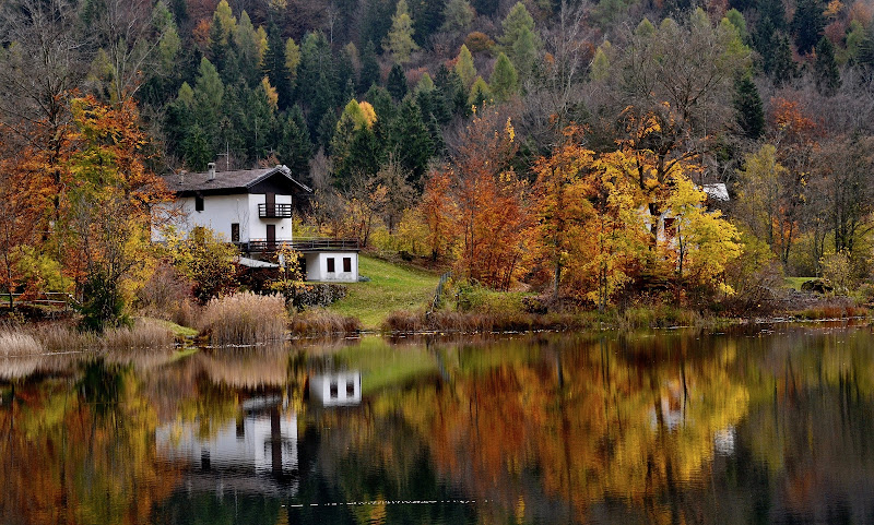 Foliage al Lago di giuseppedangelo