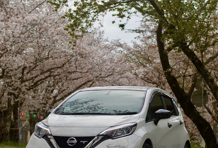 ノートのサクラと愛車・桜とコラボ🌸・ドライブ・一眼レフ初心者・E12改に関するカスタム事例の投稿画像3枚目