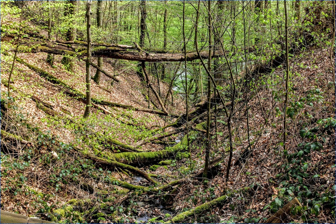 Достопримечательности Вестервальда (Westerwald): замки, церкви, природные виды