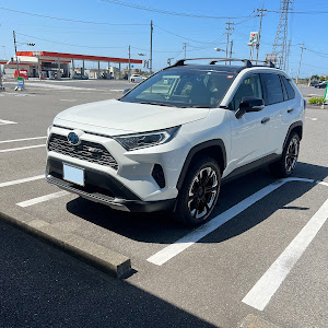 RAV4 MXAA54