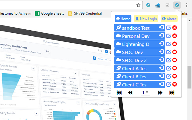 Salesforce 799 Credentials Preview image 0