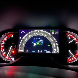 RAV4 MXAA54