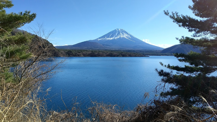 の投稿画像4枚目