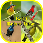 Cover Image of 下载 Cerecetan Kolibri Masteran Dahsyat Offline 1.6 APK