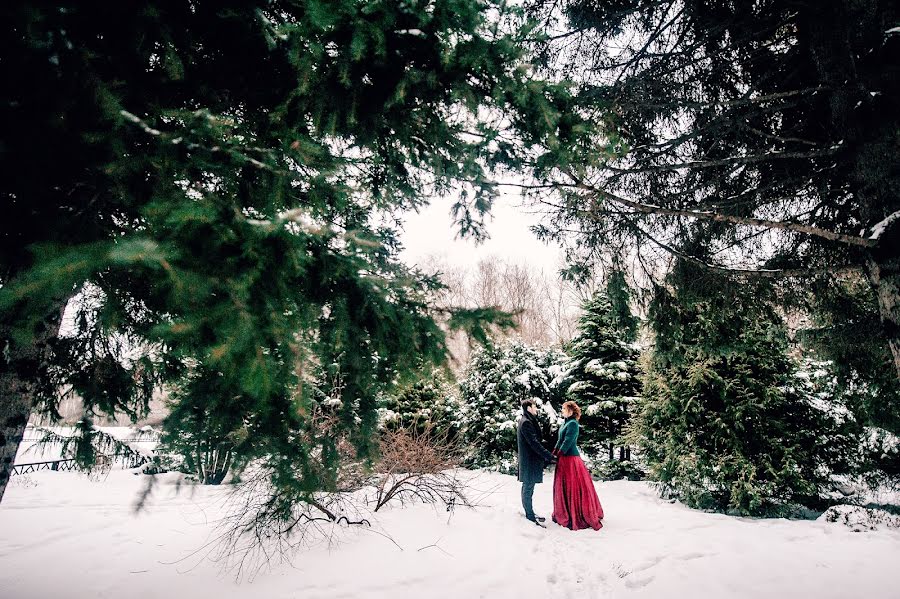 Svatební fotograf Viktoriya Maslova (bioskis). Fotografie z 2.února 2017