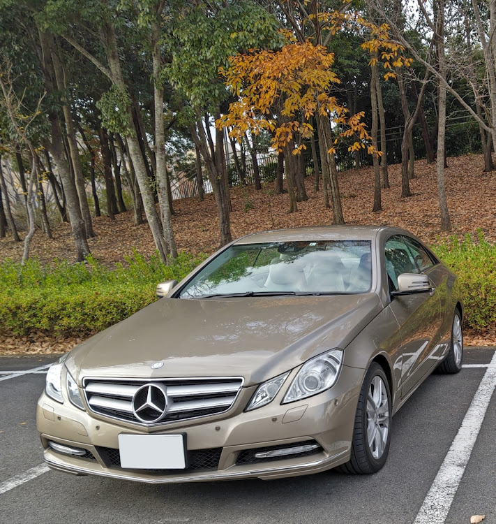 Eクラス クーペのサニディンベージュ・ベージュ色の車体と枯葉のマッチングに関するカスタム事例の投稿画像1枚目