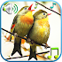 Birds Sounds & Ringtones1.1