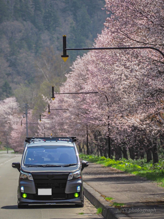 ムーヴカスタムの北海道・連休なにした？・最後の桜を求めて🌸・カメ活ツーリング・discover＿ctに関するカスタム事例の投稿画像1枚目
