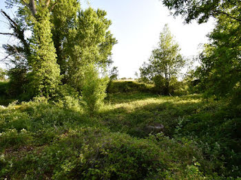 terrain à Saint-André-de-Sangonis (34)