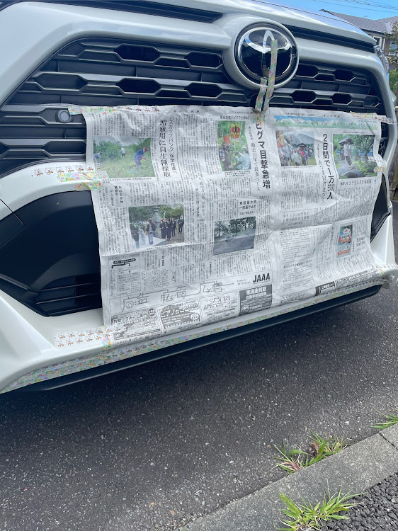 RAV4のラインテープに関するカスタム事例の投稿画像2枚目