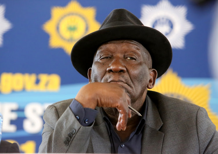 Minister Bheki Cele says there is no need to panic at the police's handling of zama zamas.