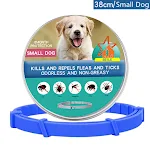 Small Dog-38cm Box B