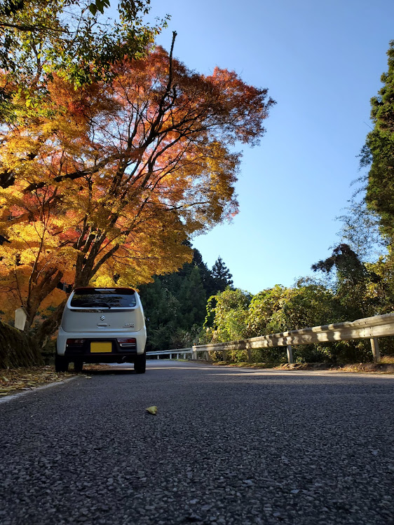 アルト ターボRSの11月にエントリーします・紅葉と愛車・紅葉ドライブに関するカスタム事例の投稿画像2枚目
