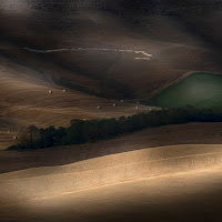 arsi dal sole di 