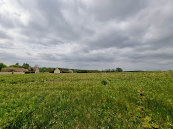 maison neuve à Moret-Loing-et-Orvanne (77)