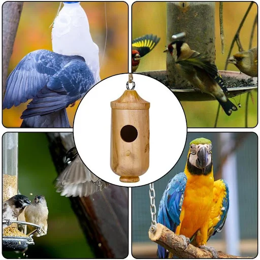 images slider number - 5