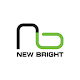 New Bright Download on Windows