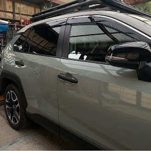 RAV4 MXAA54
