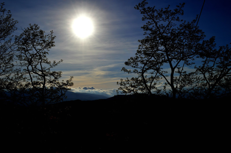 Blue mountain di D'Alessandro Irene