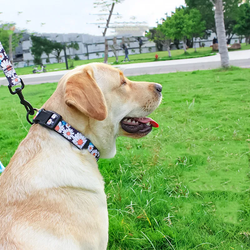 Harnais pour chien type gilet universel pour poitrine et dos avec laisse intégrée, assurant confort et sécurité lors des promenades.
