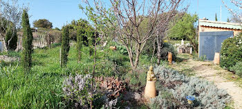 maison à Félines-Minervois (34)