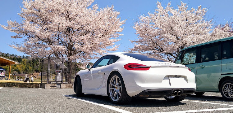 ケイマンの桜とコラボ・サクラと愛車・楢葉町・富岡町夜ノ森・桜に関するカスタム事例の投稿画像2枚目