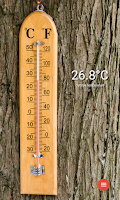 Weather Thermometer Screenshot