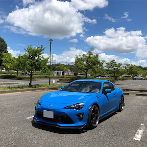 86 ZN6