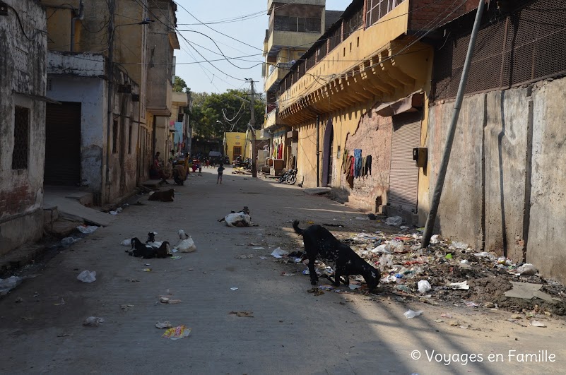 Jaipur