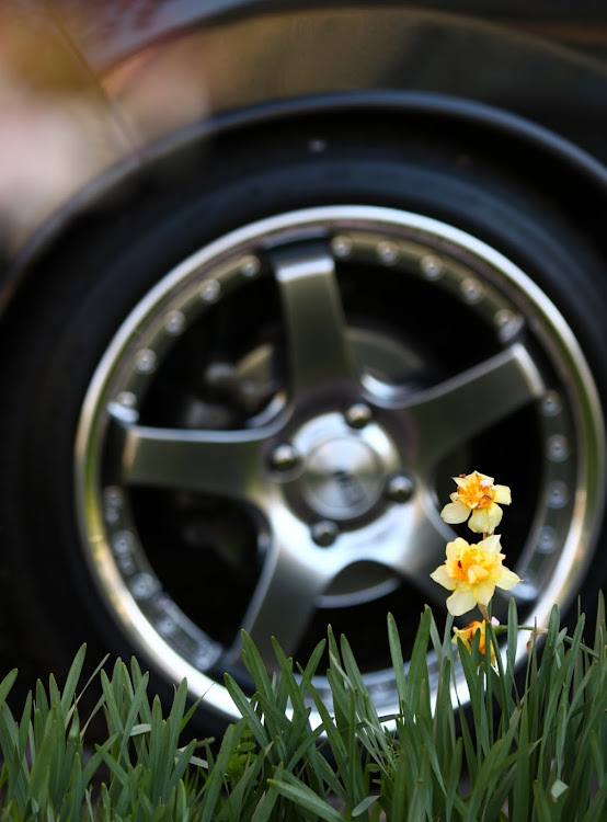 タントカスタムのサクラと愛車・水仙と桜・日本の四季は美しい・SP4R・春爛漫に関するカスタム事例の投稿画像2枚目