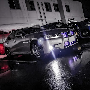 GS GWL10