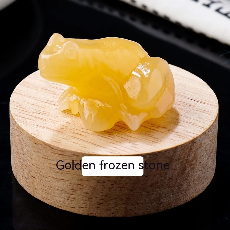 Ornements de Science Populaire pour Enfants Cadeaux, explorez la science de manière ludique avec ces spécimens fascinants, parfait pour les jeunes esprits curieux.