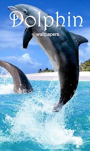 How to install Lovely Dolphin Wallpapers patch 1.1.5 apk for bluestacks