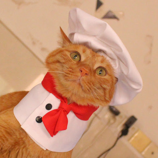 Title 4, Hat Scarf Pet Changing Outfit Keep your pet war...