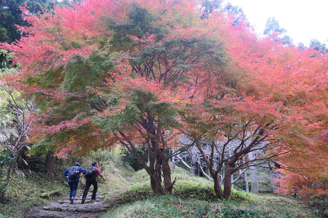 From Takahara to Chikatsuyu–Day 2 of the Kumano Kodo Nakahechi hike