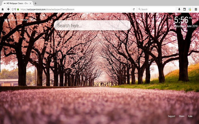 Cherry Blossom HD Wallpapers New Tab Themes