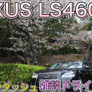 LS USF40