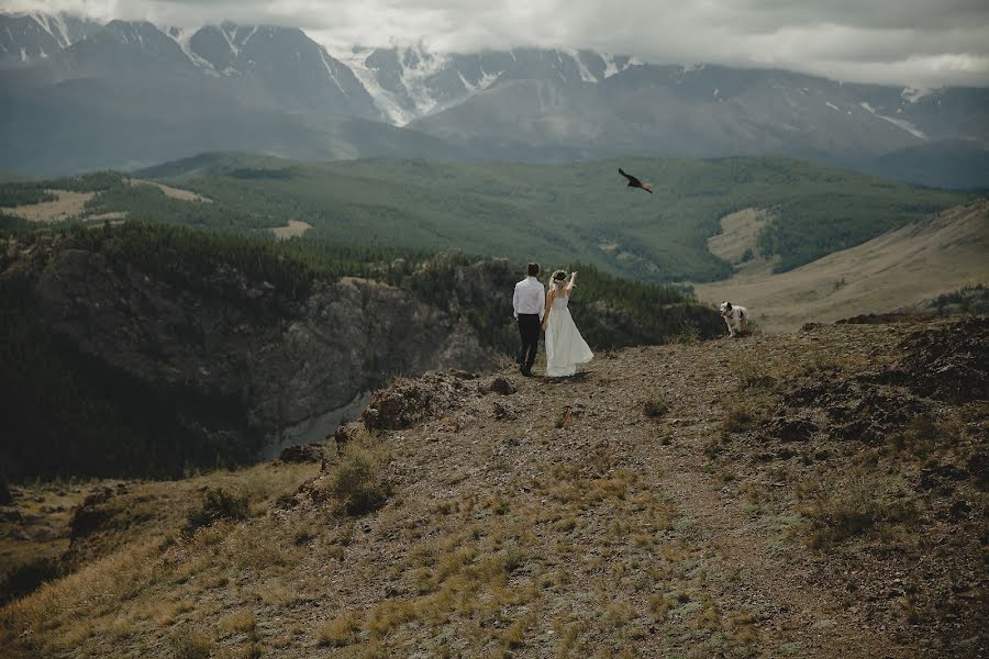 Fotógrafo de casamento Aleksandr Shamarin (shamarin). Foto de 22 de setembro 2020