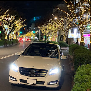 Rクラス W251
